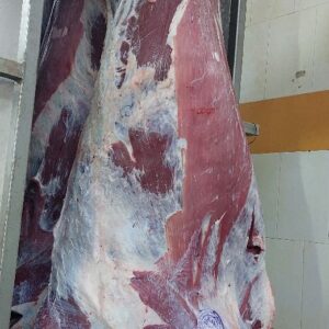 لاشه گوساله جوان نر