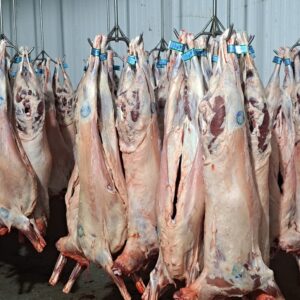 خرید گوشت گرم بره