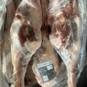 خرید گوشت گوسفند مغولی